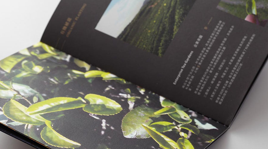 重慶茶葉畫(huà)冊(cè)設(shè)計(jì)